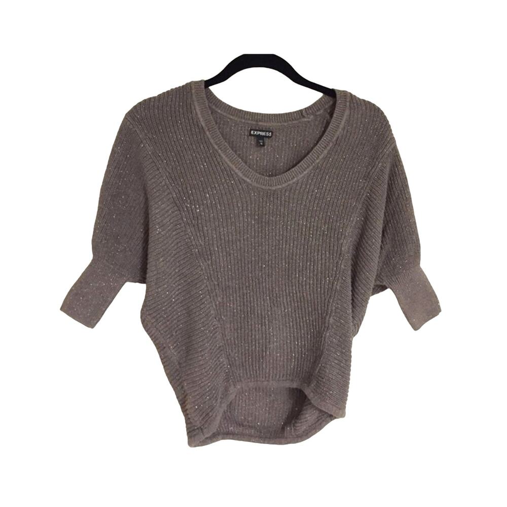 Express Sparkly Knit Short-Sleeve Sweater Size XS